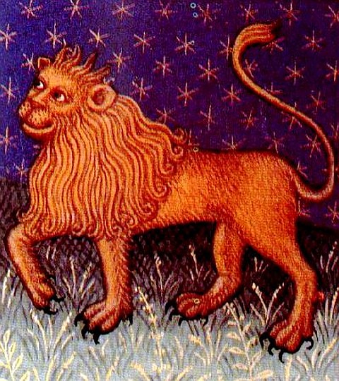 Leo Leo